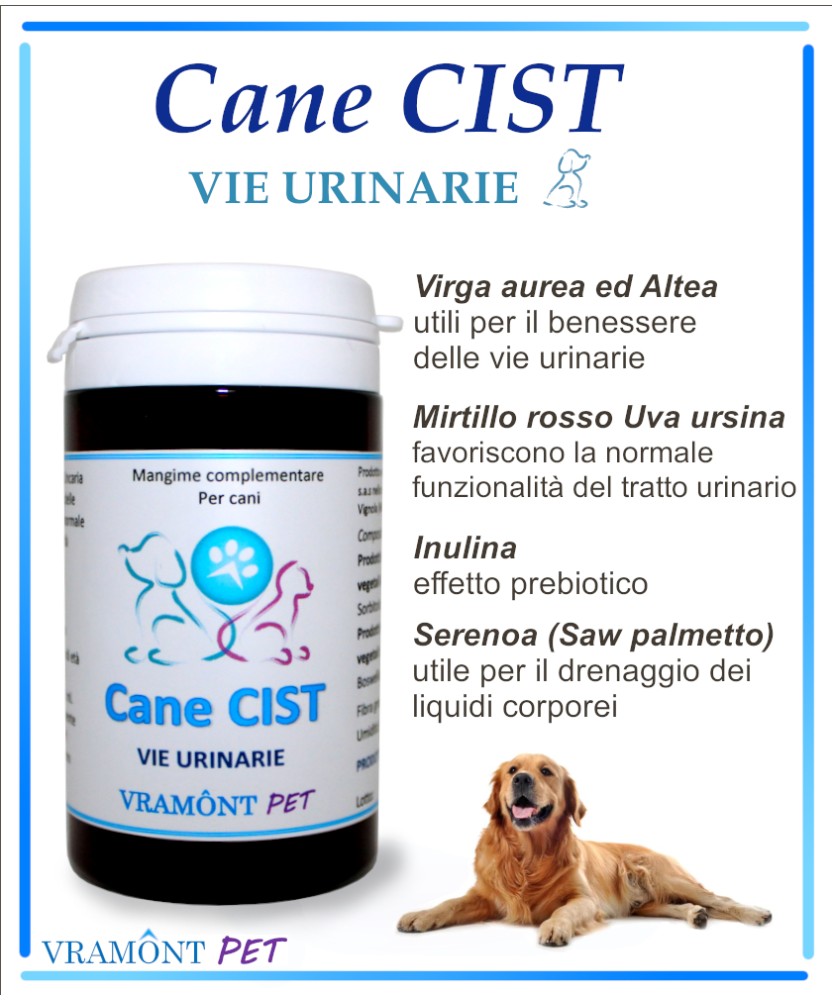 Integratore Supporto Renale 680mg - Detox E Pulizia Vie Urinarie Con Mirtillo E Ortica